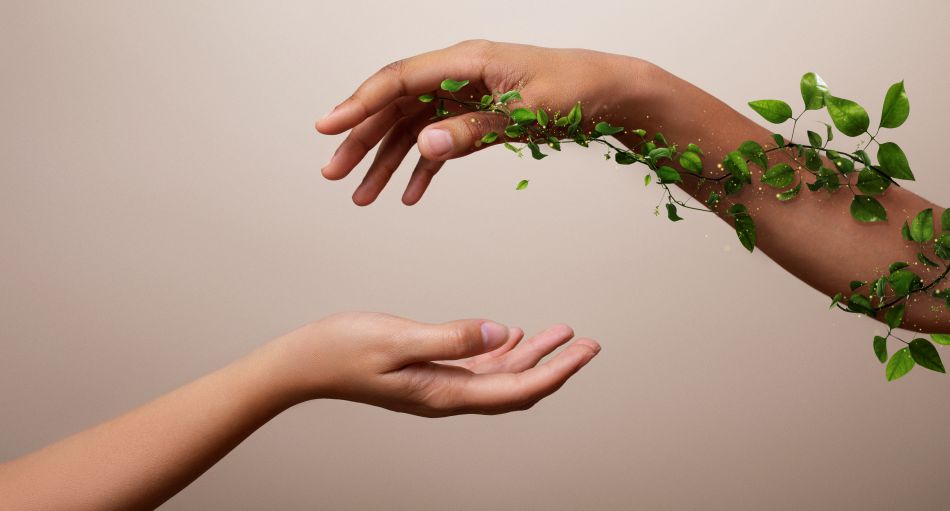 AYURVEDA